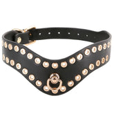 Fetish and Fashion Kali Collar, a stylish and edgy accessory for a bold and confident look